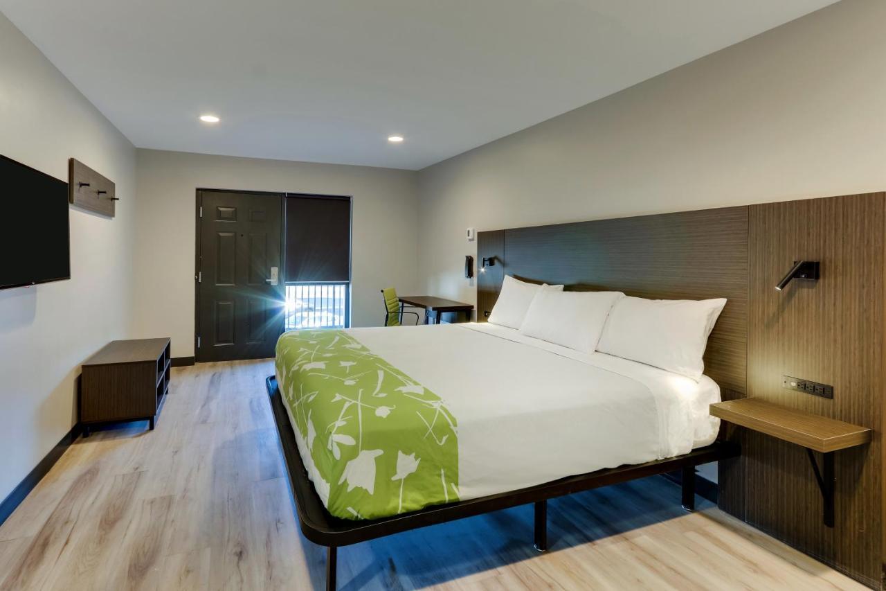 The Shamrock Hotel Сисеро Екстериор снимка